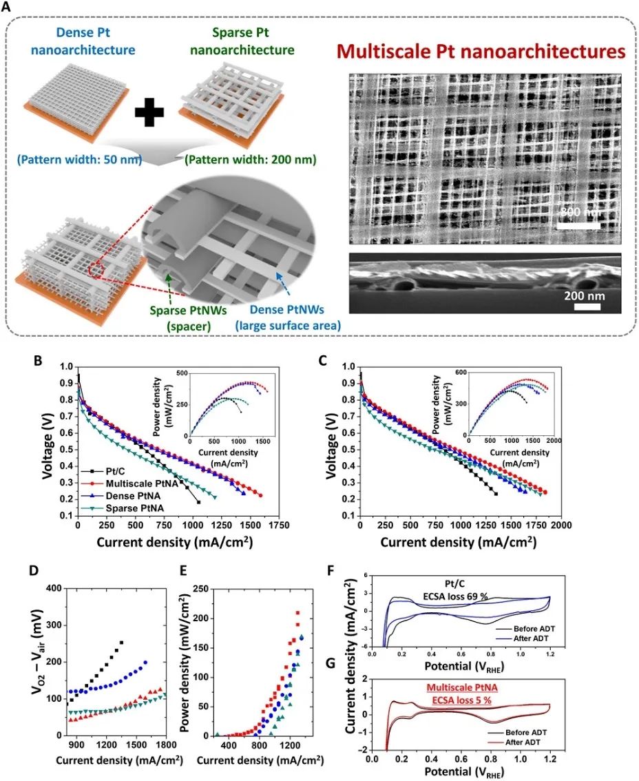 Science Advances：結(jié)構(gòu)調(diào)制的3D電催化劑用于高性能燃料電池電極