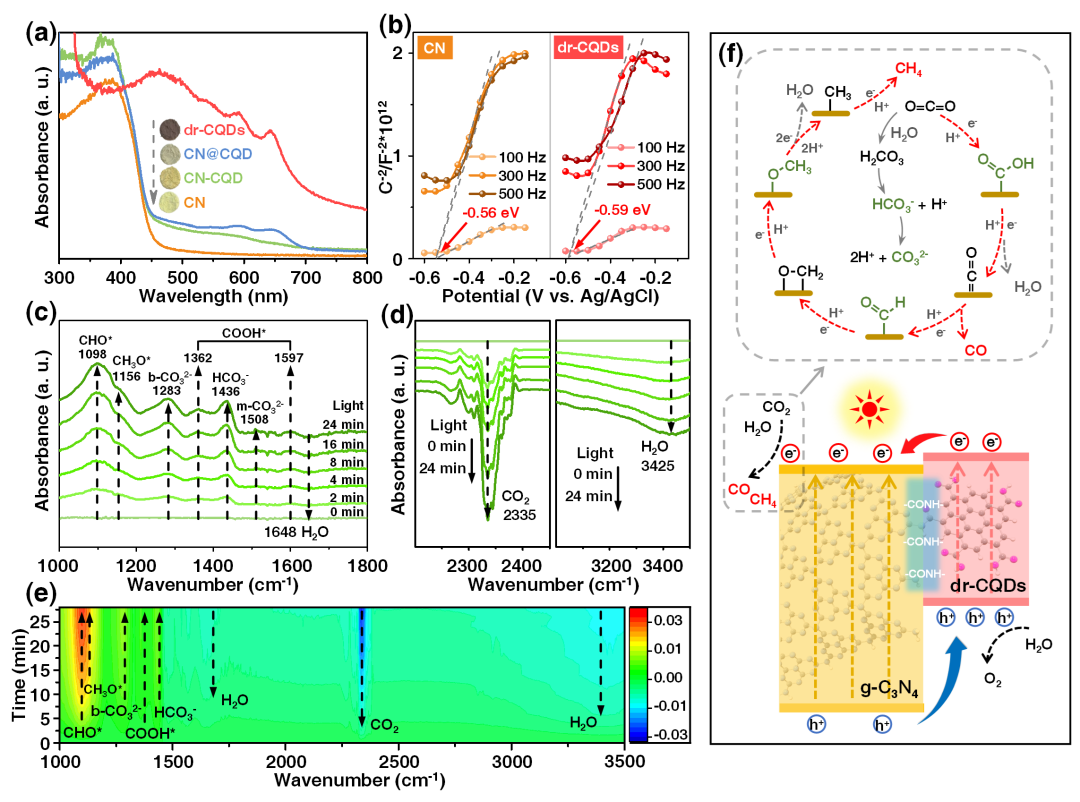 上海大學(xué)王亮課題組ACS Nano：共價(jià)鍵異質(zhì)結(jié)光催化劑的新設(shè)計(jì)