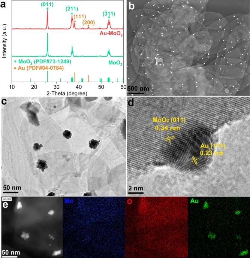 劉宏/周偉家Nano Energy: Au-MoO2異質(zhì)結(jié)納米片上Au-O鍵的強(qiáng)耦合來等離子體增強(qiáng)HER動力學(xué)