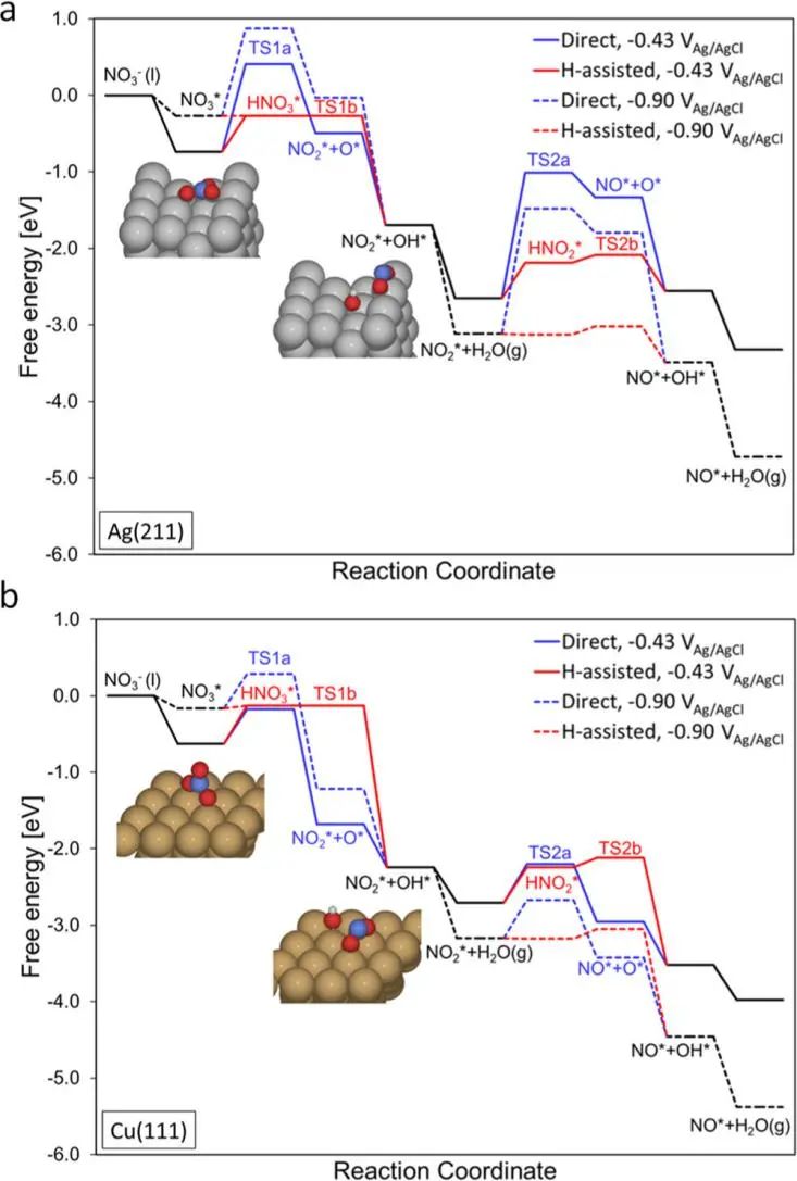 ACS Catalysis：對亞硝酸鹽和氨的選擇性可調(diào)的氧化物衍生銀用于電催化硝酸鹽還原