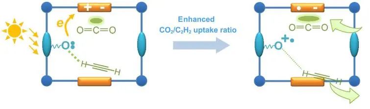 最新催化匯總：3篇Angew.、2篇JACS、2篇Nano Lett.和1篇Science子刊