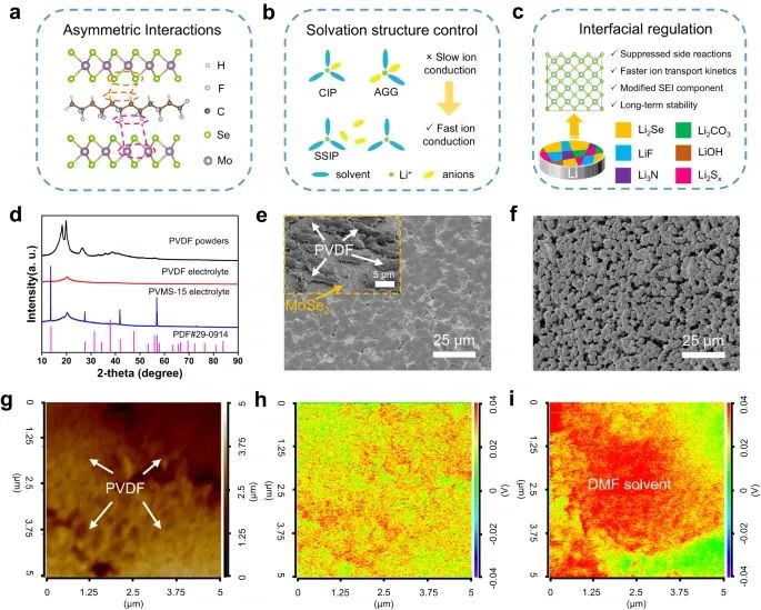 浙大陸盈盈，最新Nature子刊！