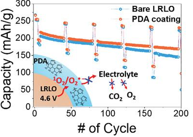 Linda F. Nazar等AEM：利用可溶液處理的氧清除劑聚合物抑制表面富鋰、富錳層狀氧化物的氧釋放