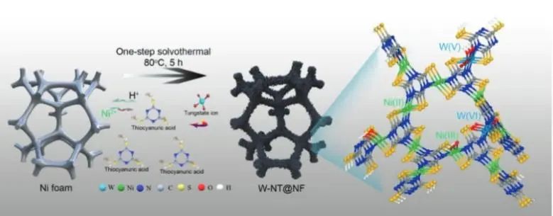 ?侯琳熙課題組AFM：引入W位點(diǎn)，有效促進(jìn)Ni基配位聚合物催化HER和UOR