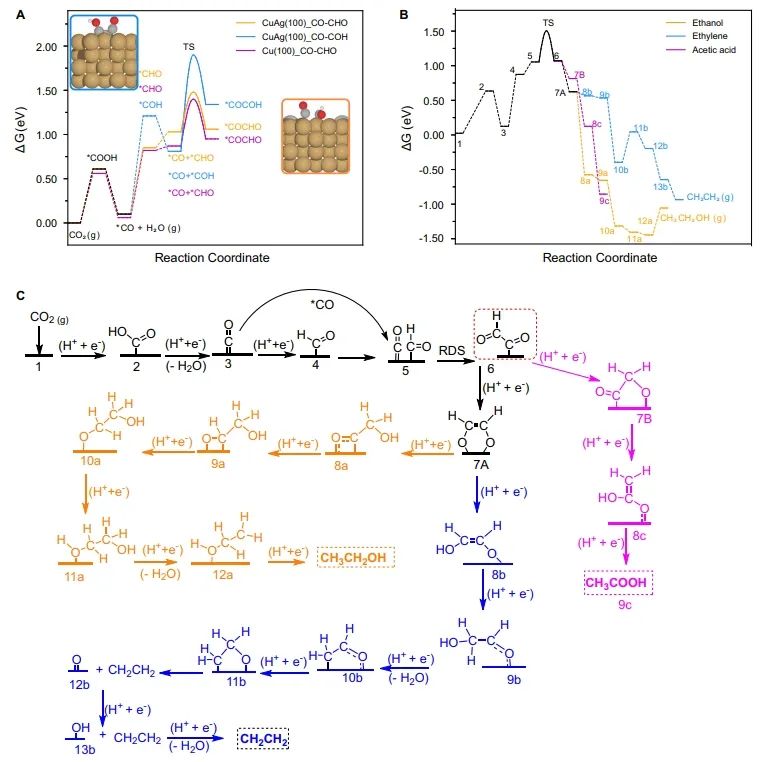 ?催化頂刊集錦：Nature子刊、Angew、AFM、ACS Nano、ACS Energy Lett.等成果