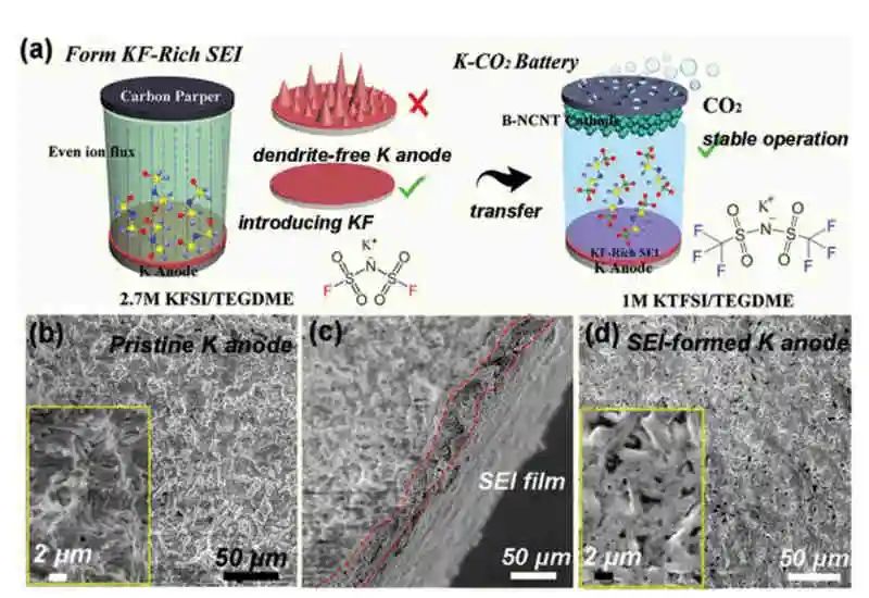 電子科大王斌AFM：人工固體電解質(zhì)界面和竹節(jié)狀摻氮碳納米管實(shí)現(xiàn)高可充K-CO2電池