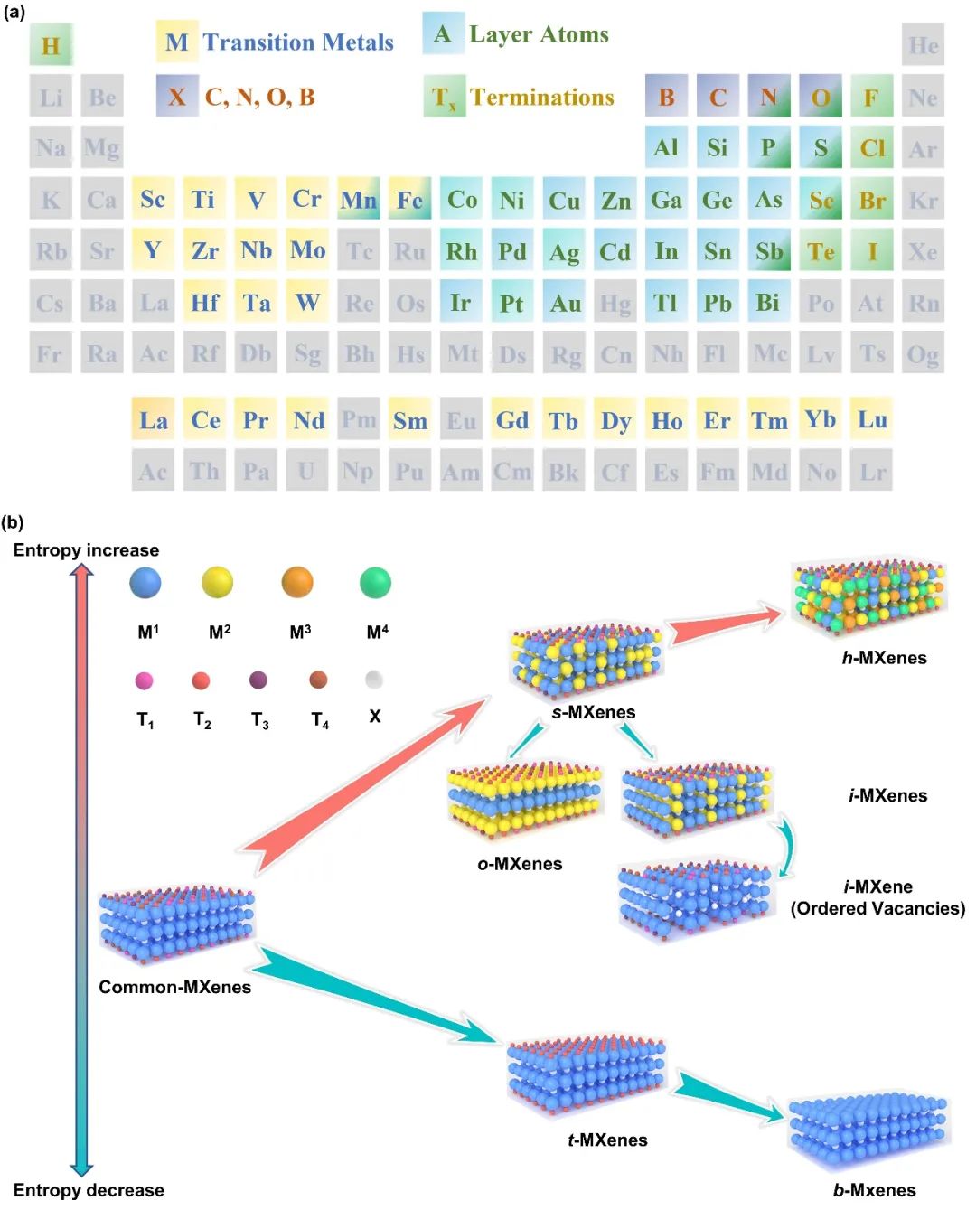 吉林大學(xué)最新MXenes綜述：用于下一代技術(shù)的制備策略和構(gòu)效關(guān)系的進(jìn)展與展望