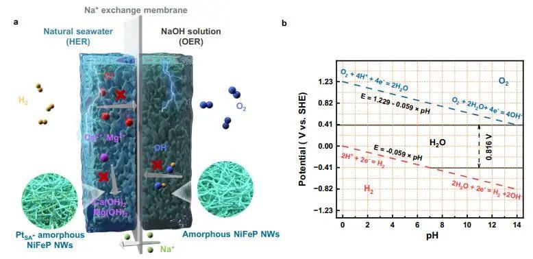 催化頂刊集錦：JACS、Nature子刊、EES、ACS Catal.、Adv. Sci.等