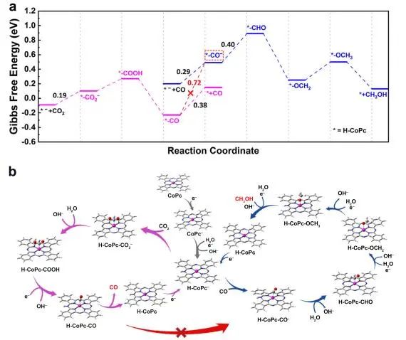 Nature子刊：原位光譜立大功！揭示CO/CO2電還原制甲醇中單原子中心固有結(jié)構(gòu)特征