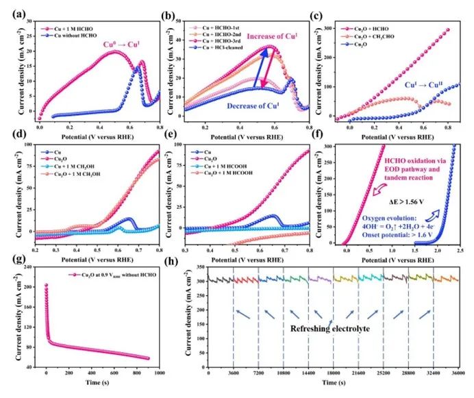 催化頂刊合集：EES、AM、AFM、Adv. Sci.、JEM、Small、CEJ等成果！