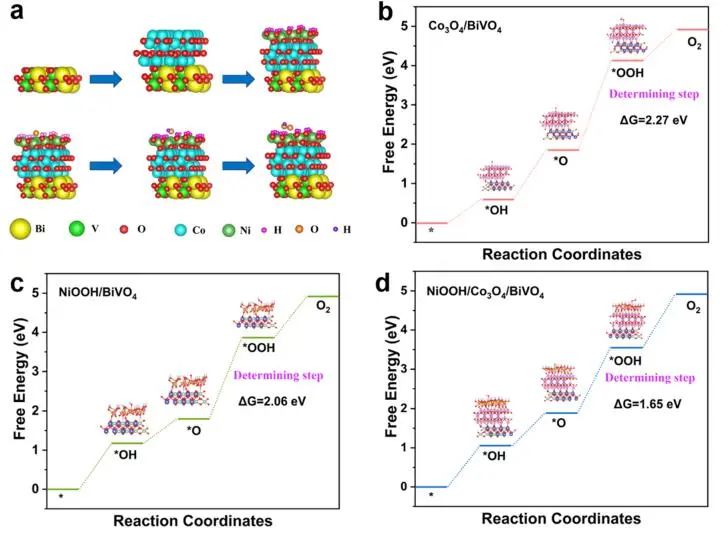 催化頂刊集錦：JACS、Nat. Catal.、AM、AFM、ACS Catal.、ACS Nano、Small等人