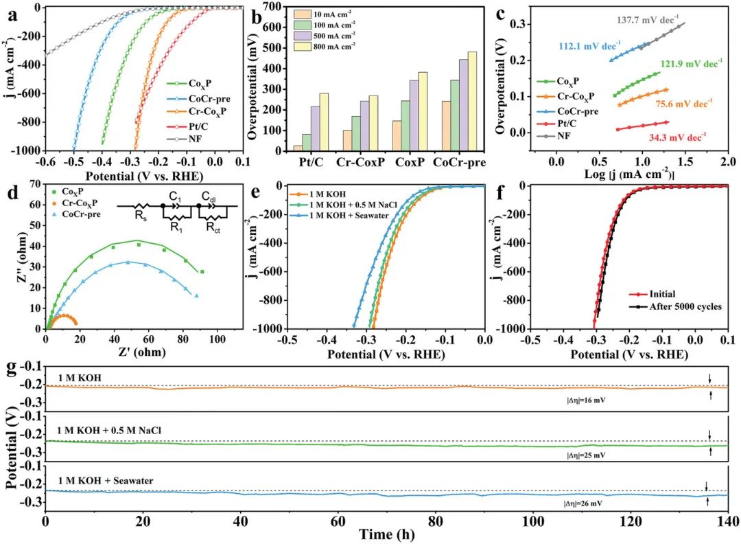 催化頂刊合集：JACS、Angew.、AFM、Small、Appl. Catal. B、JEC等成果