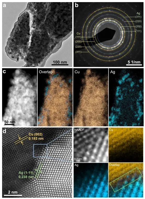 催化頂刊集錦：Nature、JACS、EES、ACS Catal.、ACS Nano、Small等成果精選！