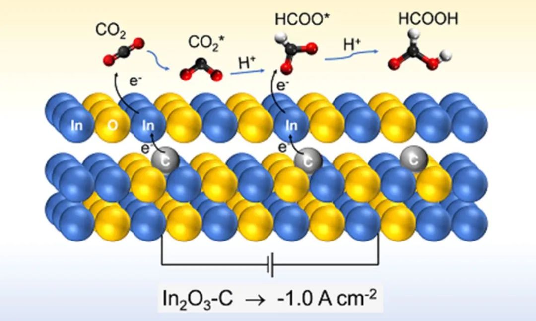 石大/富大?ACS Catal.：用于CO2電化學(xué)還原制甲酸鹽的In2O3-C納米棒