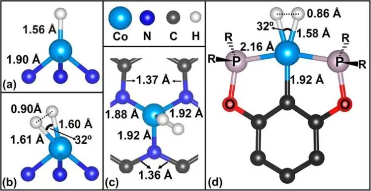 比可卡大學(xué)JACS: 二氫化物和二氫配合物在單原子催化劑HER中的作用