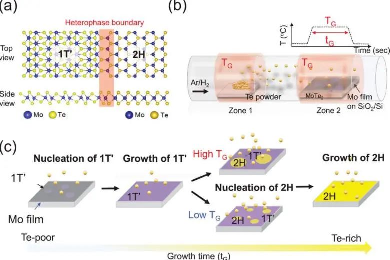 8篇催化頂刊：Angew.、AFM、ACS Catal.、Small、Adv. Sci.等最新成果