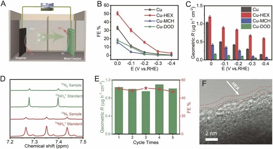 陳衛(wèi)/王建國(guó)Nano Energy：首次報(bào)道！界面疏水隧道工程：促進(jìn)N2向NH3電化學(xué)轉(zhuǎn)化的一般策略