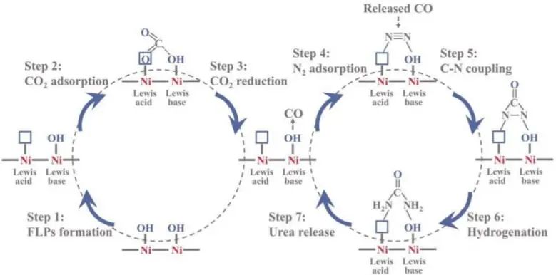 8篇催化頂刊：EES、Small、Adv. Sci.、JMCA、Nano Energy、Chem. Eng. J.等最新成果