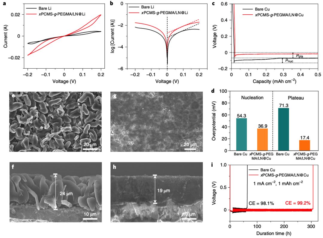 中山大學(xué)Nat. Nanotechnol.，剛?cè)岵?jì)另一種玩法！全有機(jī)鋰保護(hù)層！