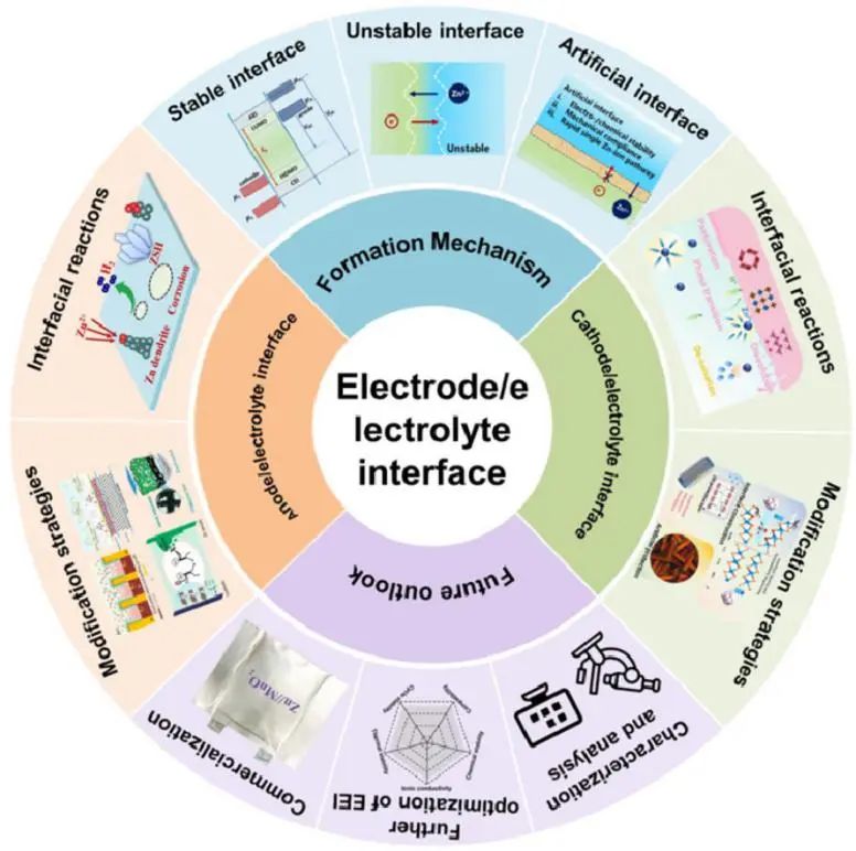 中南方國趙EnSM: 水系鋅電池電解液/電極界面電化學(xué)行為及優(yōu)化策略
