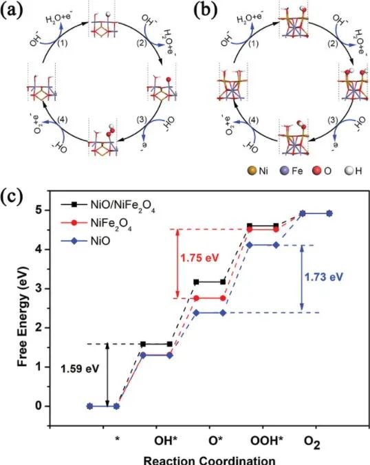 催化頂刊集錦：ACS Nano、ACS Catalysis、Small、Nano Letters等最新成果