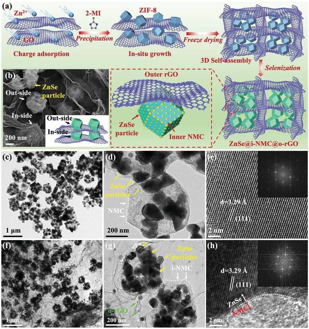 復(fù)旦孫大林/宋云/王飛Adv. Sci.: “雙碳限制”結(jié)構(gòu)提高ZnSe的儲鉀性能