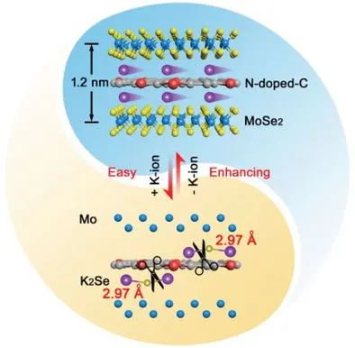 華東理工李春忠/江浩AFM：用于儲鉀的異質(zhì)MoSe2/氮摻雜碳納米陣列