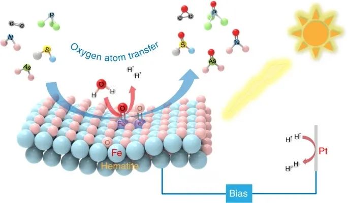 章宇超/陳春城/趙進(jìn)才Nature Catalysis：加點(diǎn)水，讓?duì)?Fe2O3實(shí)現(xiàn)對(duì)多種物質(zhì)的氧化