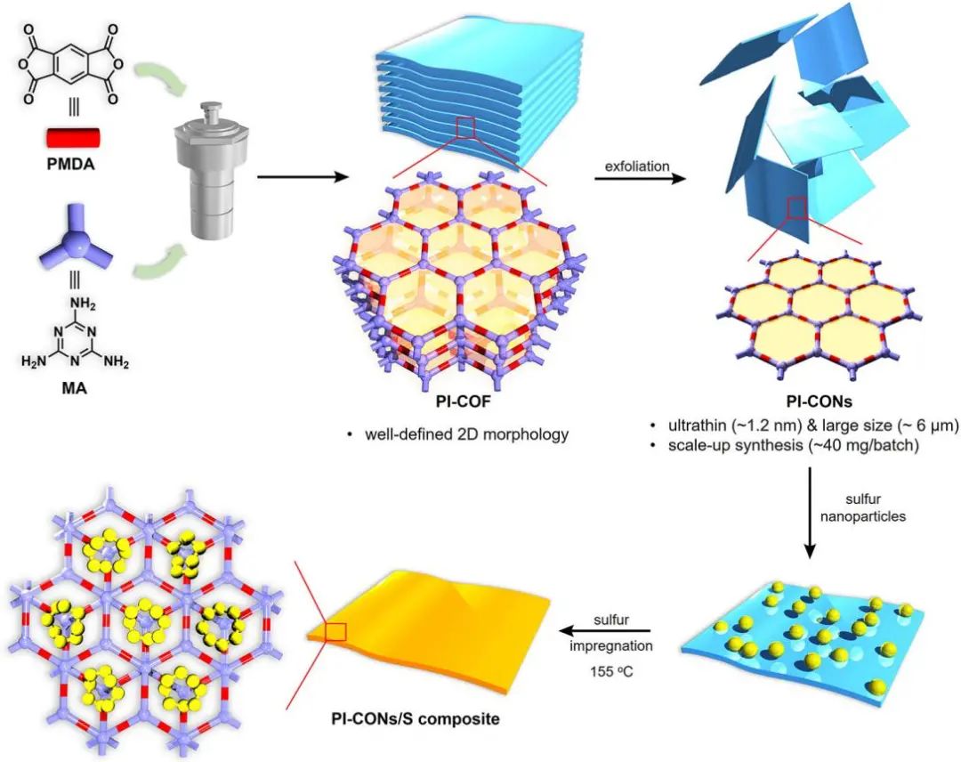 暨大/利物浦大學(xué)JACS：批量合成用于高性能Li-S電池的超薄聚酰亞胺COF納米片