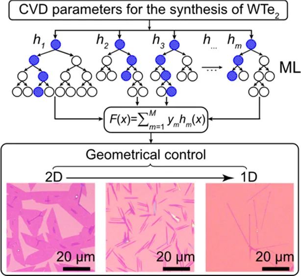 南洋理工/西北工大/西北大學JACS：機器學習驅動合成具有幾何控制的少層WTe2