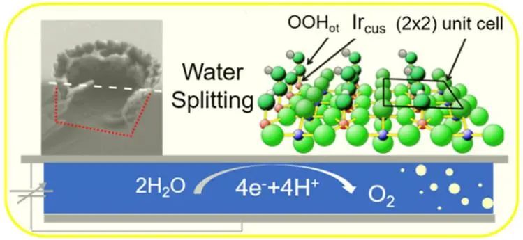 ACS Catalysis：用于酸性水分解的平面單晶氧化物模型電極(RuO2, IrO2)的基礎研究