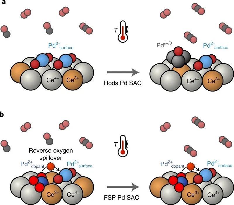 單原子催化領域，再獲一篇Nature Catalysis！