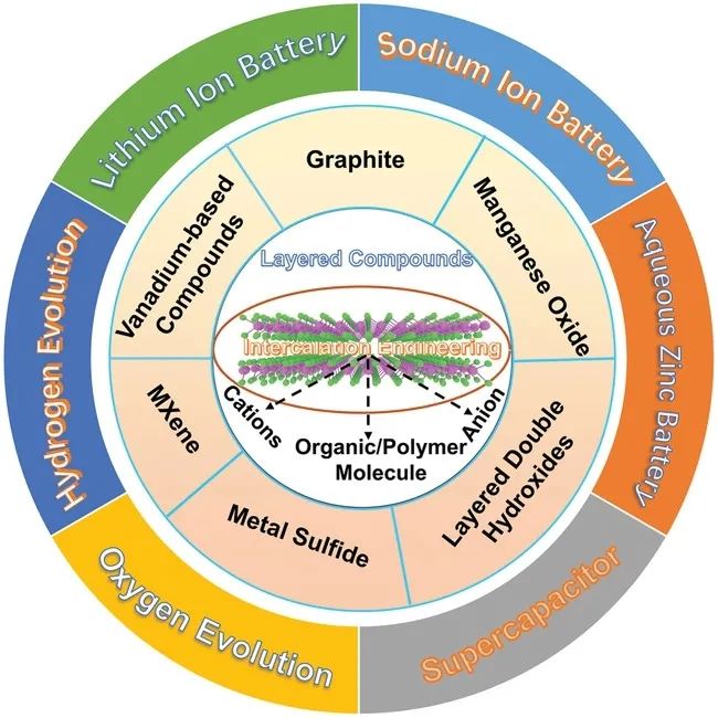 夏永姚/陸洪彬/賓端AFM：用于電化學(xué)儲能和電催化的層狀化合物的插層調(diào)控