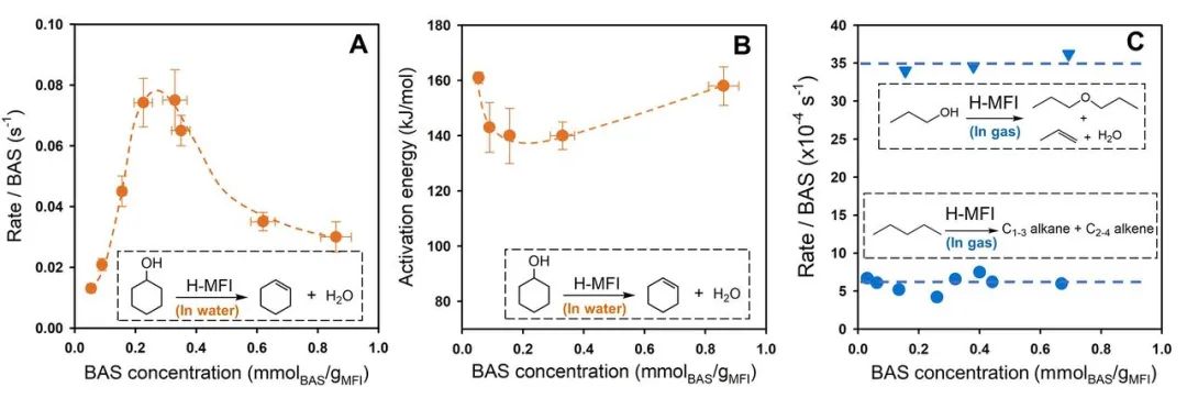 最新Science：沸石催化，再次登頂！