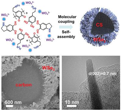 唐永炳/楊景海Small Methods：WSe2/碳微納分級結(jié)構(gòu)的分子偶聯(lián)和自組裝提高鈉離子存儲