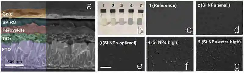 電池頂刊集錦：AFM、AM、ACS Energy Lett.、EnSM、Nano Lett.、Nano Energy等