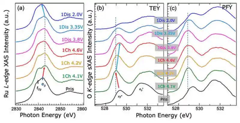 電池頂刊集錦：AFM、AM、ACS Energy Lett.、EnSM、Nano Lett.、Nano Energy等