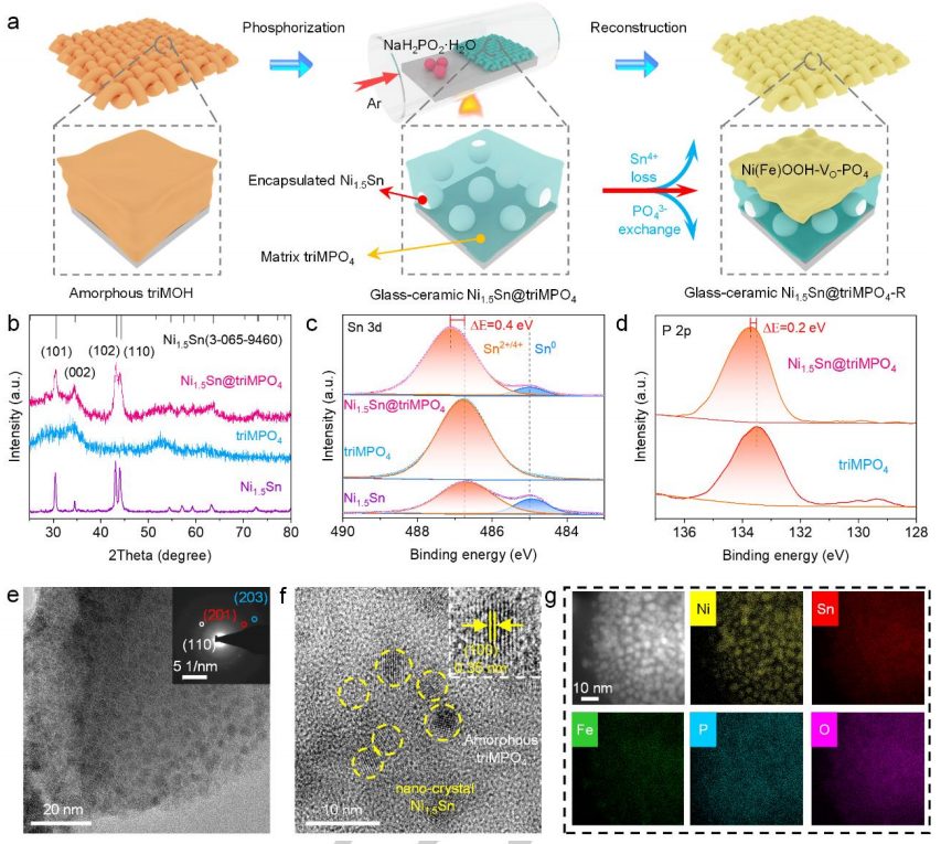 瘋狂收割頂刊！“OER重構(gòu)”大匯總：AFM/Matter/Angew/Nano Energy等