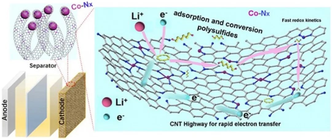 北科顧有松/閆小琴Nano Energy：多功能Co-Nx調(diào)控多硫化物轉(zhuǎn)化動力學(xué)實現(xiàn)高效鋰硫電池
