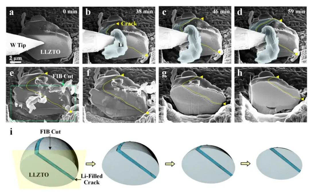 黃建宇/張宿林等EEM: 石榴石固體電解質(zhì)中鋰沉積誘導(dǎo)開(kāi)裂的原位觀察