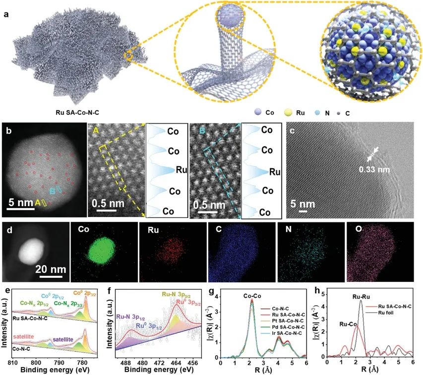 ?天大/金屬所/薩里大學(xué)AFM：碳保護(hù)SAA材料作為多功能電催化劑