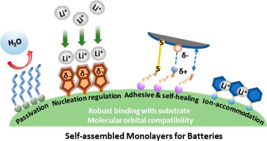 納米所陳立桅/沈炎賓JACS: 用于電池的自組裝單層膜綜述