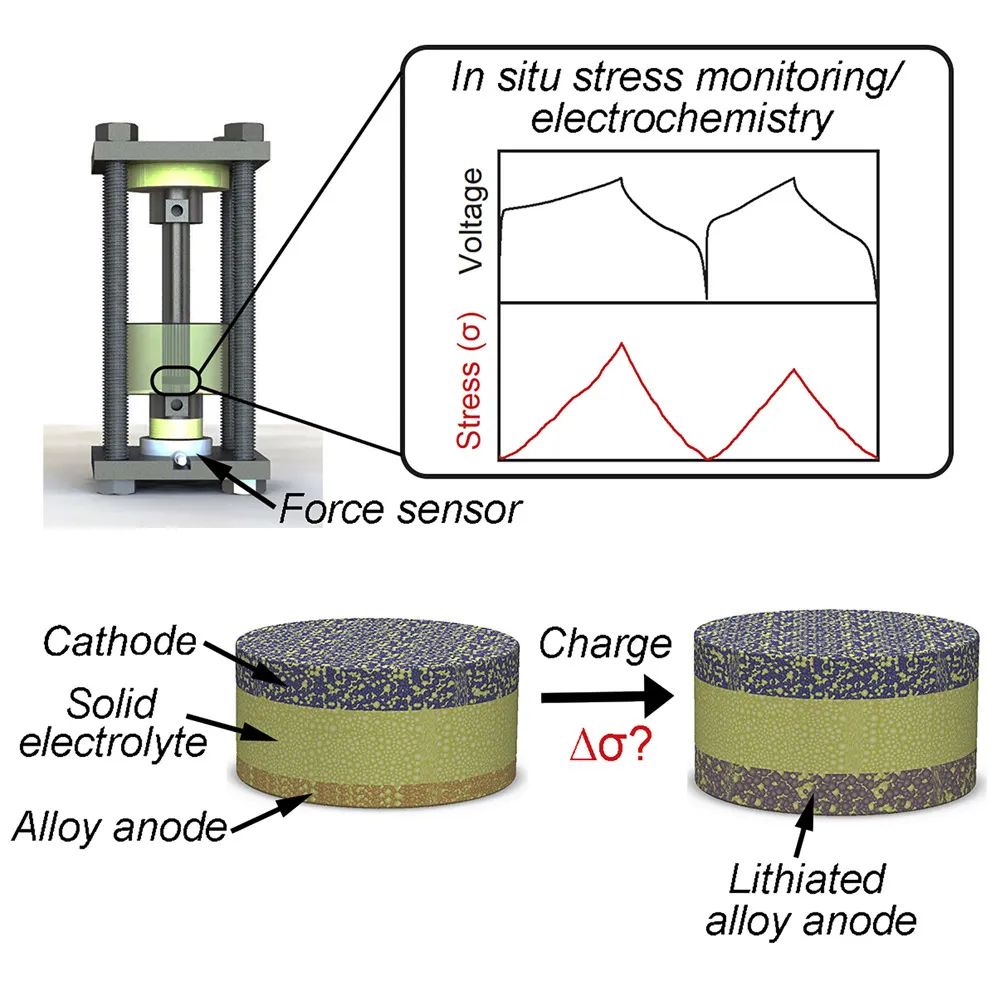 Joule：固態(tài)電池合金負(fù)極循環(huán)過程中的應(yīng)力演變