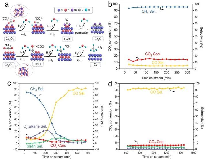 催化頂刊集錦：Angew./JACS/AFM/ACS Catal./Small等最新成果