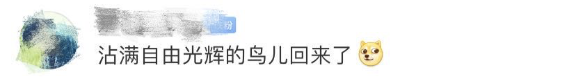 游泳過河，去吃火鍋！“高校版肖申克的救贖”火了，網(wǎng)友評(píng)論很上頭...