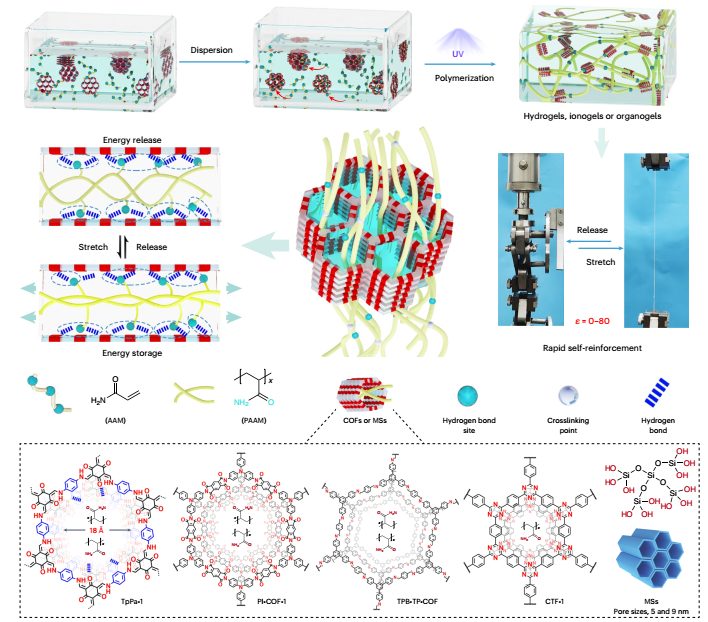 (待推送-11.20）新方法！蘇州大學(xué)最新Nature Materials，解決重大難題！