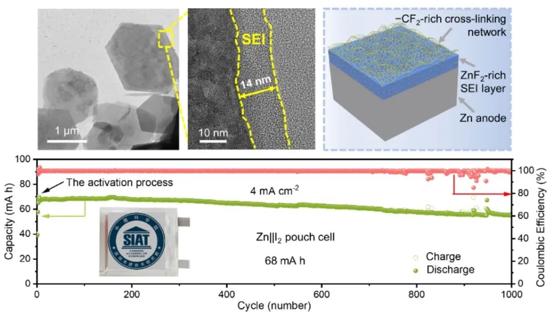 先進(jìn)院韓翠平Angew：富氟雙保護(hù)層實(shí)現(xiàn)高可逆水系鋅離子電池