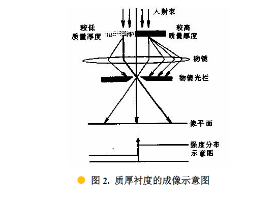 STEM是什么？掃描電鏡中的透射模式！