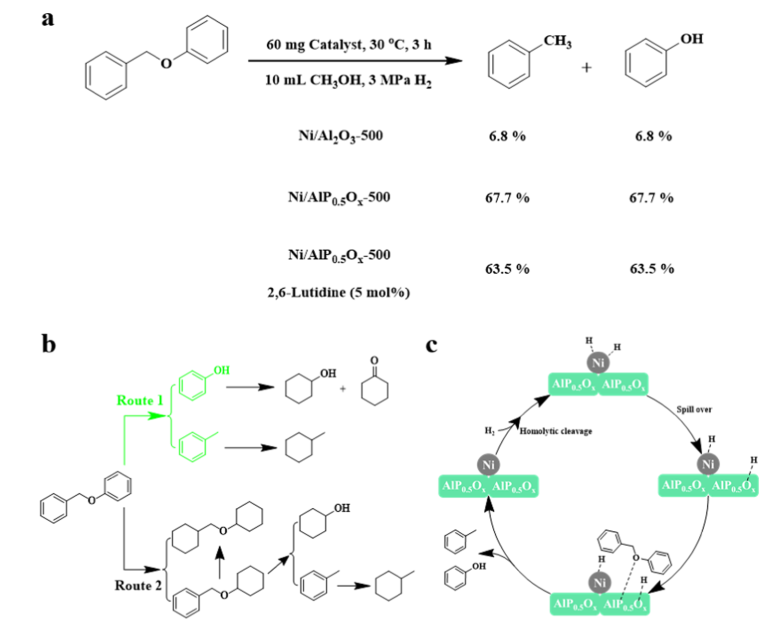 中科大傅堯ACS Catalysis: Ni/AlPyOx 催化裂解C-O 鍵