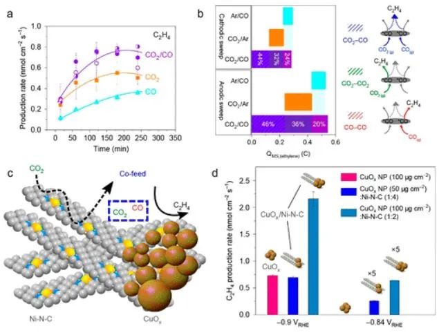 南科大顧均ACS Catalysis: 剖幽析微：基于CO中間體的傳質(zhì)設(shè)計用于CO2電還原的Cu基串聯(lián)催化劑